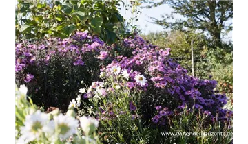 Gartenbaumschule Becker