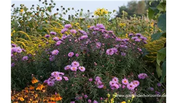 Gartenbaumschule Becker
