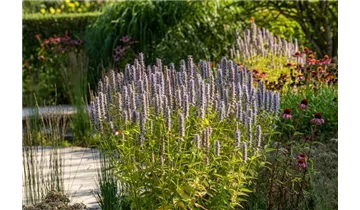 Gartenbaumschule Becker