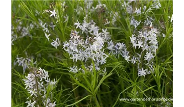 Gartenbaumschule Becker