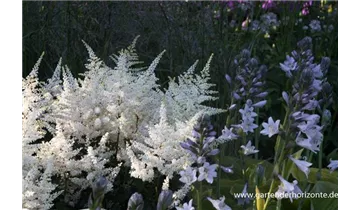 Gartenbaumschule Becker