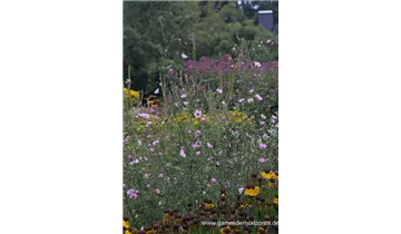 Gartenbaumschule Becker