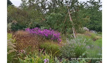 Gartenbaumschule Becker