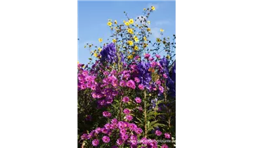 Gartenbaumschule Becker