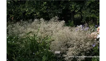 Gartenbaumschule Becker