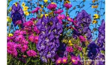 Gartenbaumschule Becker