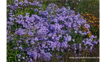 Gartenbaumschule Becker