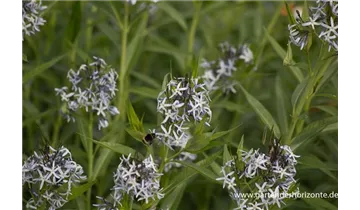 Gartenbaumschule Becker