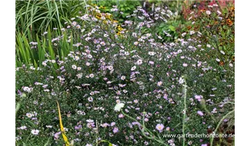 Gartenbaumschule Becker