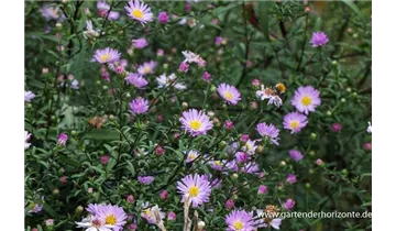 Gartenbaumschule Becker