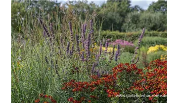 Gartenbaumschule Becker