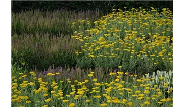 Gartenbaumschule Becker