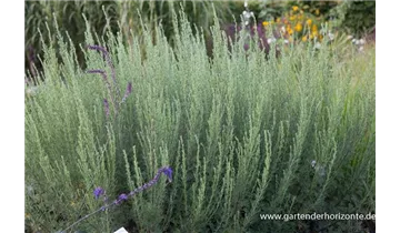 Gartenbaumschule Becker