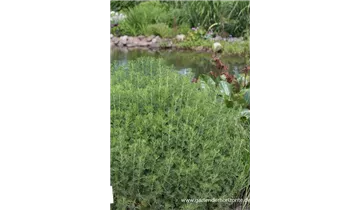 Gartenbaumschule Becker