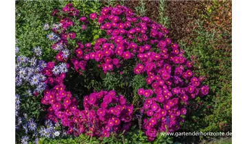 Gartenbaumschule Becker