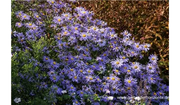 Gartenbaumschule Becker