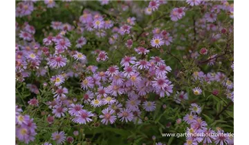 Gartenbaumschule Becker