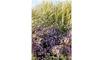 Gartenbaumschule Becker