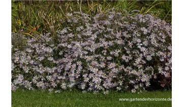 Gartenbaumschule Becker