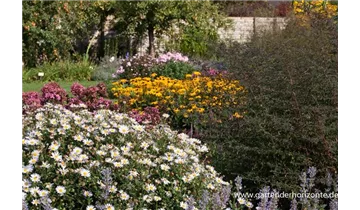 Gartenbaumschule Becker