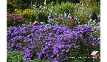 Gartenbaumschule Becker