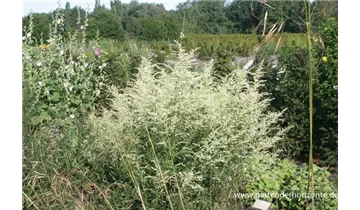 Gartenbaumschule Becker