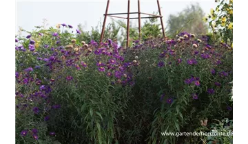 Gartenbaumschule Becker