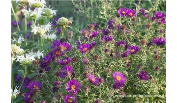 Gartenbaumschule Becker