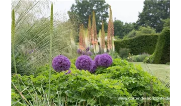 Gartenbaumschule Becker