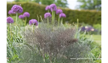 Gartenbaumschule Becker