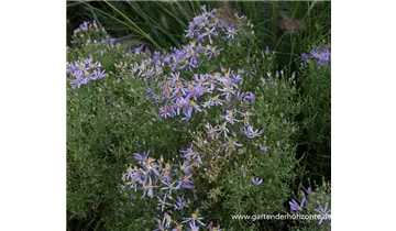 Gartenbaumschule Becker