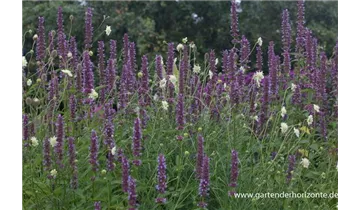 Gartenbaumschule Becker