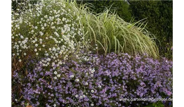 Gartenbaumschule Becker