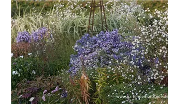 Gartenbaumschule Becker