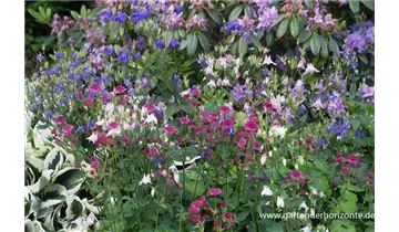 Gartenbaumschule Becker