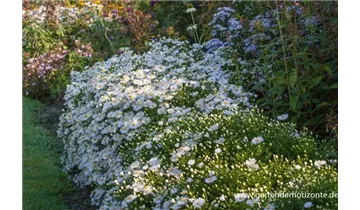 Gartenbaumschule Becker