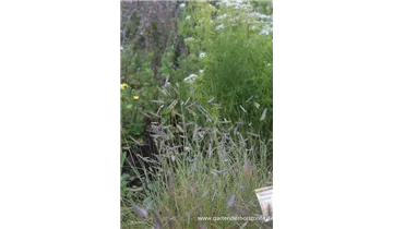 Gartenbaumschule Becker