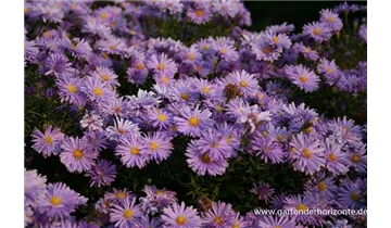 Gartenbaumschule Becker