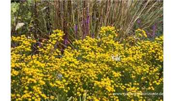 Gartenbaumschule Becker