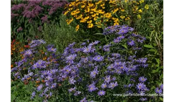 Gartenbaumschule Becker