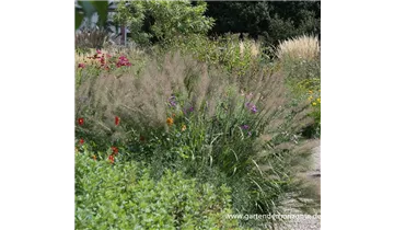 Gartenbaumschule Becker