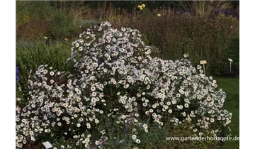 Gartenbaumschule Becker