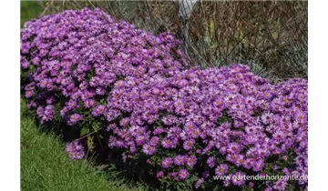 Gartenbaumschule Becker