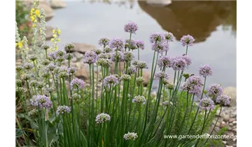 Gartenbaumschule Becker
