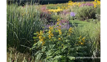 Gartenbaumschule Becker