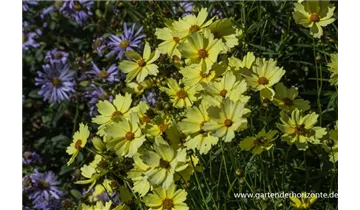Gartenbaumschule Becker