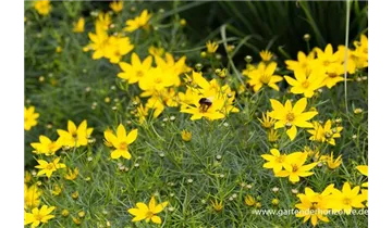 Gartenbaumschule Becker