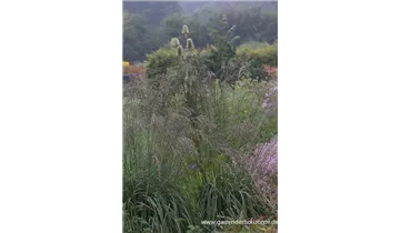 Gartenbaumschule Becker