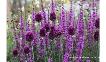 Gartenbaumschule Becker