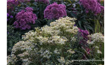 Gartenbaumschule Becker